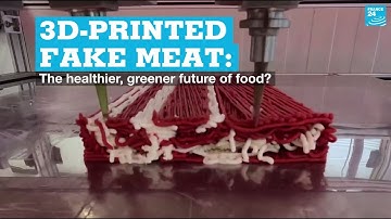 3D-printed fake meat: The healthier, greener future of food?