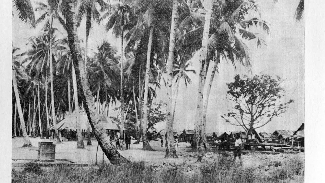 了戒次男元第二軍情報参謀著『西部ニューギニア作戦秘話』(12) Japanese 2nd Army Western New Guinea