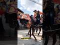 Lucu banget joget kuda nya langka pisan #shorts #hortse #dancinghorse
