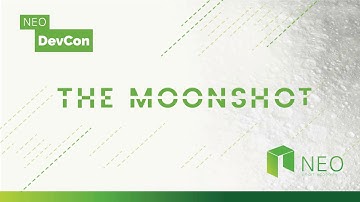 A Deep Dive into NeoVM & NeoContract - Erik Zhang | NEO Devcon 1