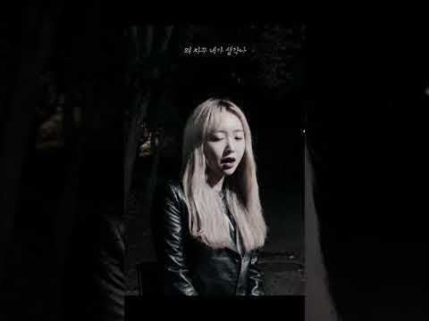 2017_08_가수 라이브 촬영_펀치-밤이되니까