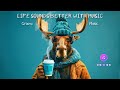 Instrumental Groove Playlist | Feel-Good Background Music for Work & Focus