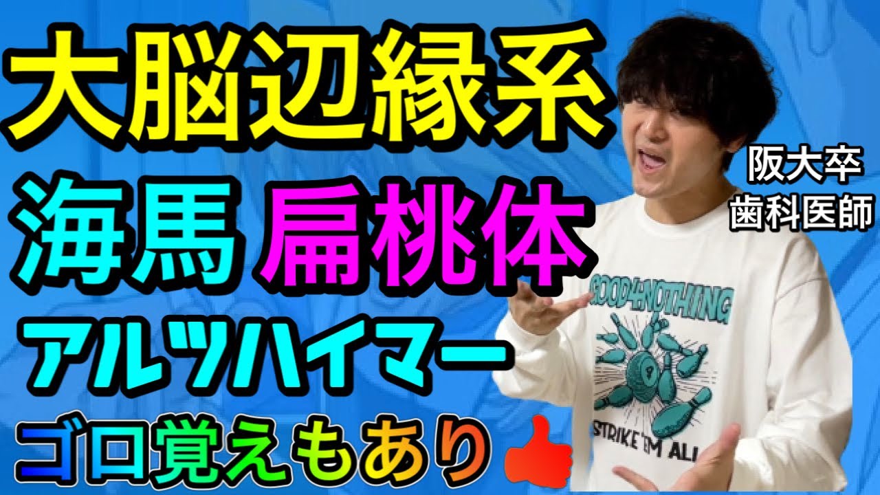 ゴロ覚えもあり！！大脳辺縁系 海馬 扁桃体 アルツハイマー 神経の生理14【解剖生理学60】【臨床医学】