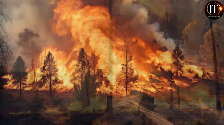 The Wildfire Crisis That Will Change Los Angeles Forever