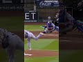 RYAN WALDSCHMIDT WALKS OFF THE CUBS!!! #baseball #homerun