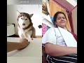 Boy Dog Very Smart 🤩🐕🐶🐕🦺🦮 #viral #funnycute #funny #pets #doggie #cute#dog #funnymoment #wacky