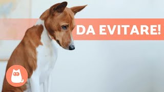 12 COSE che NON DEVI fare con il TUO CANE