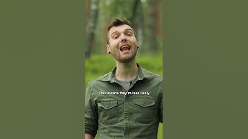 Butterflies up close! 🦋🔍 Macro Photography with Geraint Radford 📸 #LloydoftheFlies #Shorts