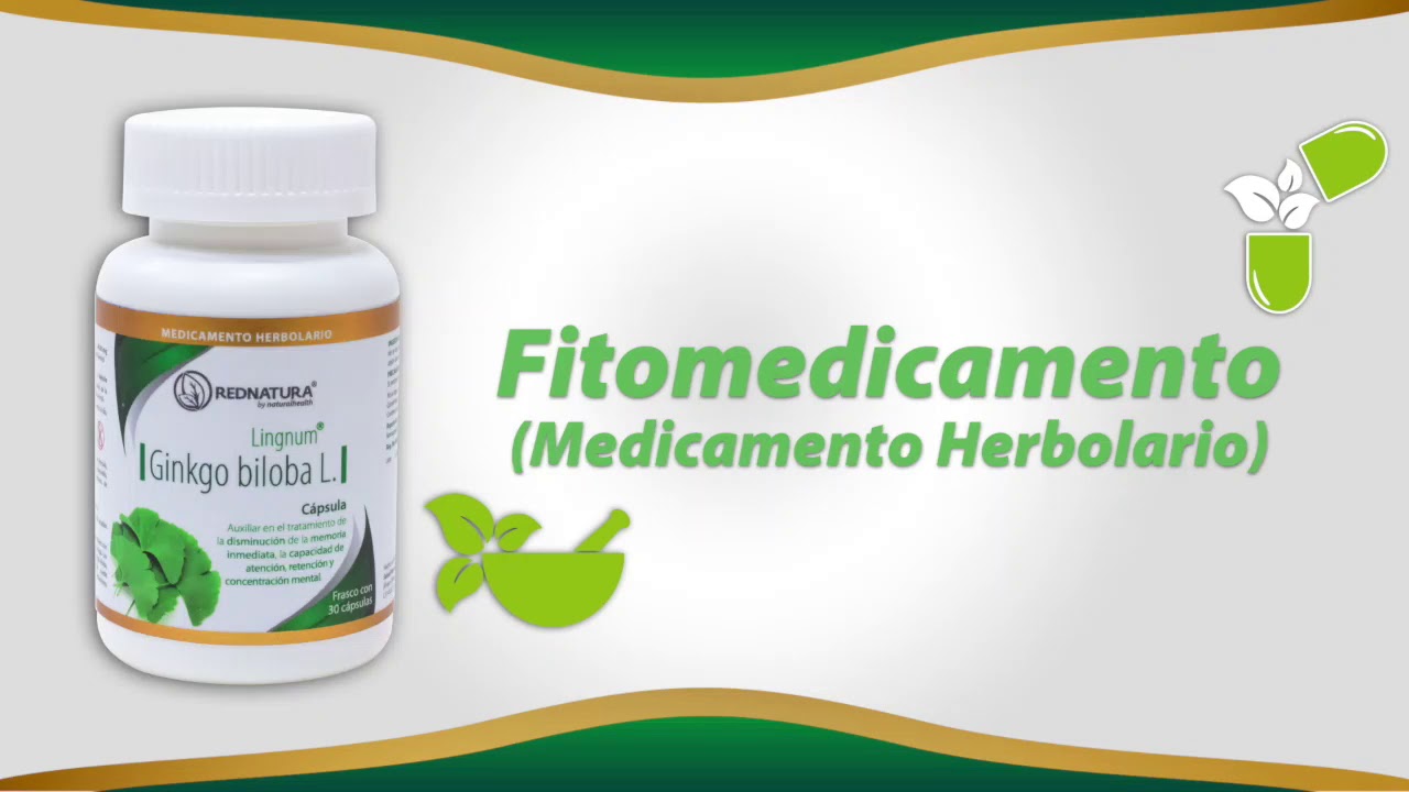 GINKGO BILOBA YouTube