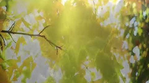 ﴿وَنَادَىٰ أَصْحَابُ الْجَنَّةِ أَصْحَابَ النَّارِ﴾ تلاوه نادره خشع لها المصلون للشيخ ياسر الدوسري