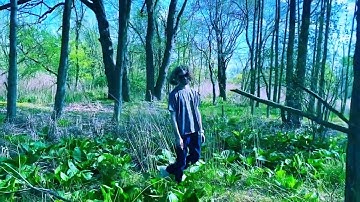 It Can Only Go Forward No Matter What - Official Video