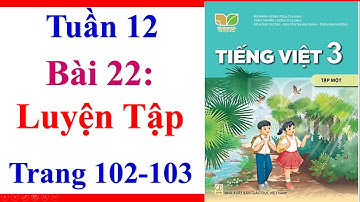 Tiếng Việt Lớp 3 | Tuần 12 | Bài 22 | Luyện Tập | Trang 102 103 | Sách Kết Nối Tri Thức