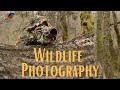 Wildlife Photography - Tragopan 3D Camo Gear