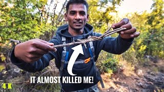 24hrs Camping in Chikmagalur | wild Berry, Bees,Nectar plant | camping in INDIA