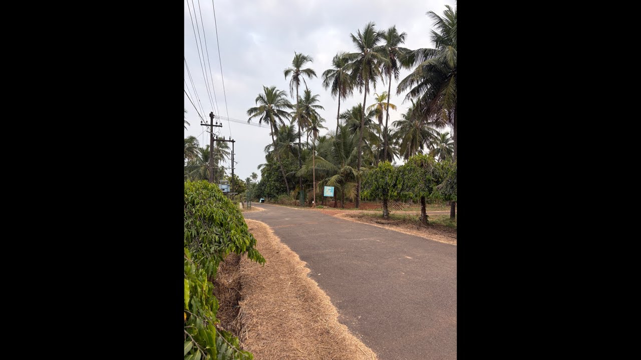 🌇 Evening Walk Live | Thank You Subscribers ❤️ | Relaxing Nature Walk & Chill Talk!