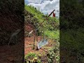 Mind-blown! Water flow auto-clangs metal to scare birds