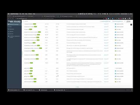 D8 to D9 upgrade using Composer in Plesk