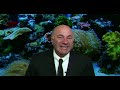 Kevin O'Leary | THE BEST INVESTMENT WATCHES YOU CAN BUY!!