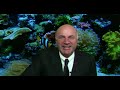 Kevin O'Leary | THE BEST INVESTMENT WATCHES YOU CAN BUY!!