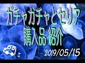 ガチャガチャとセリアでの購入品紹介【音フェチ】