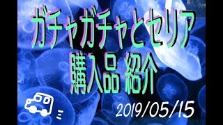 ガチャガチャとセリアでの購入品紹介【音フェチ】