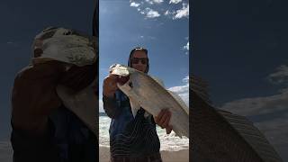 Mulloway number 5 for morning