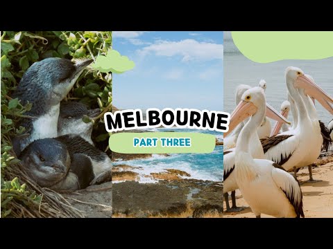 Melbourne Vlog Pt 3 - Phillip Island