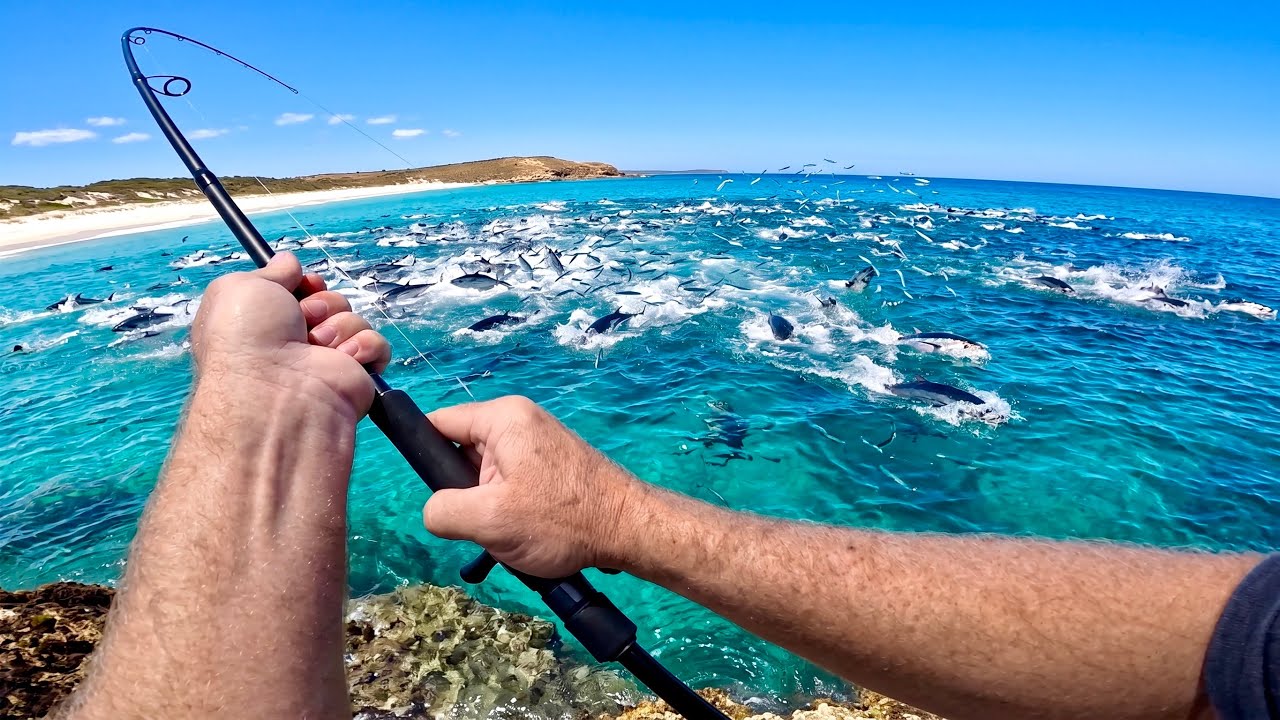 Solo Tuna Off The Rocks (Fresh Catch & Cook)