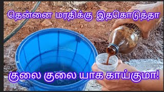#how to use fish amino acid for coconut tree for high yeild  #engelthottamvlogs #🌴🌴தென்னை மரதிக்கு