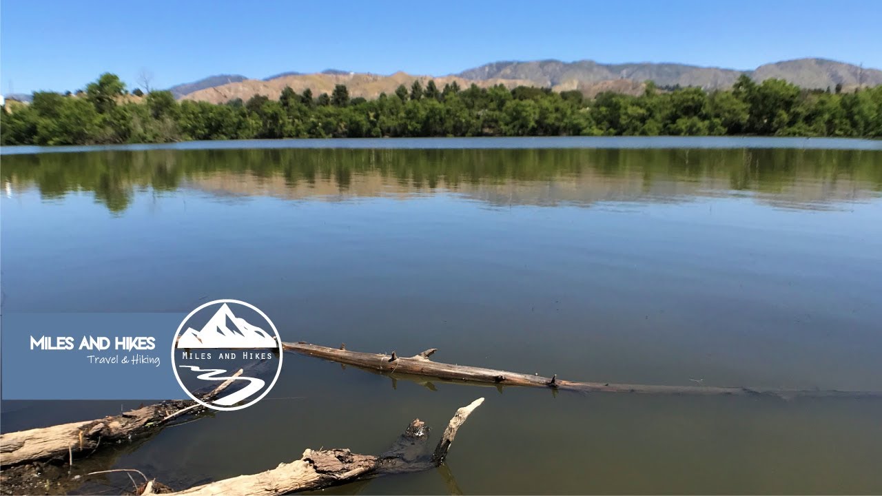 Hiking around a lake, a creek and tons of wildflowers! | Hansen Dam (Lakeview Terrace, CA)