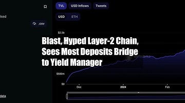 Blast, Hyped Layer-2 Chain, Sees Most Deposits Bridge to Yield Manager