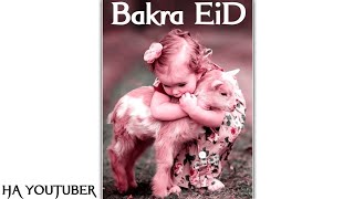 Eid Ul Adha Mubarak Status 2021 New Bakra Eid Status 2021