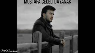 Mustafa Ceceli - Dayanak Resimi