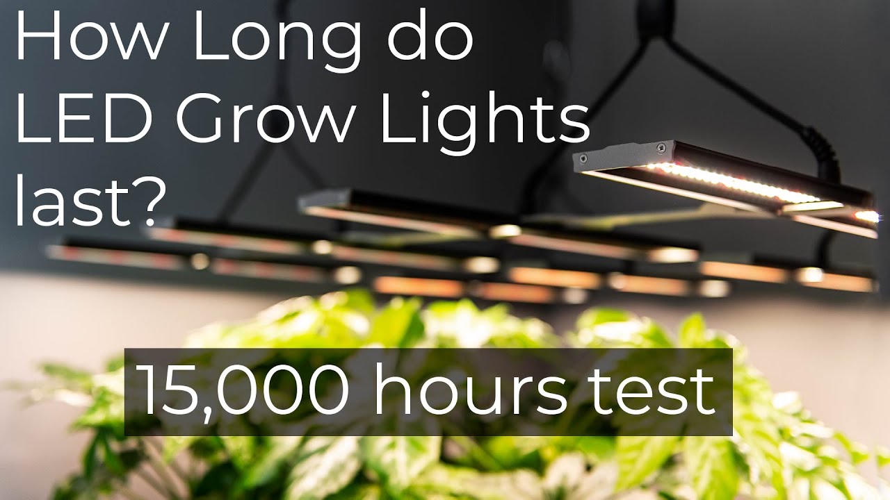 When to replace LED grow lights | Long term LED test 15,000 hours - YouTube