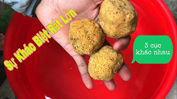 So sánh mồi lancer khô tơi với mồi lancer (lăng xê) dẻo, chia sẻ một số kinh nghiệm câu cá hiểu quả