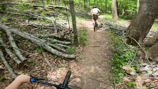 Beech Fork WV MTB