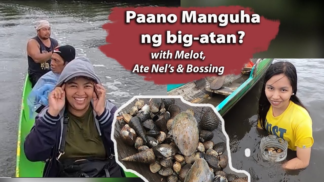 1/2 - Catching Bigatan Clams | Fresh seafoods | relaxing footage ...