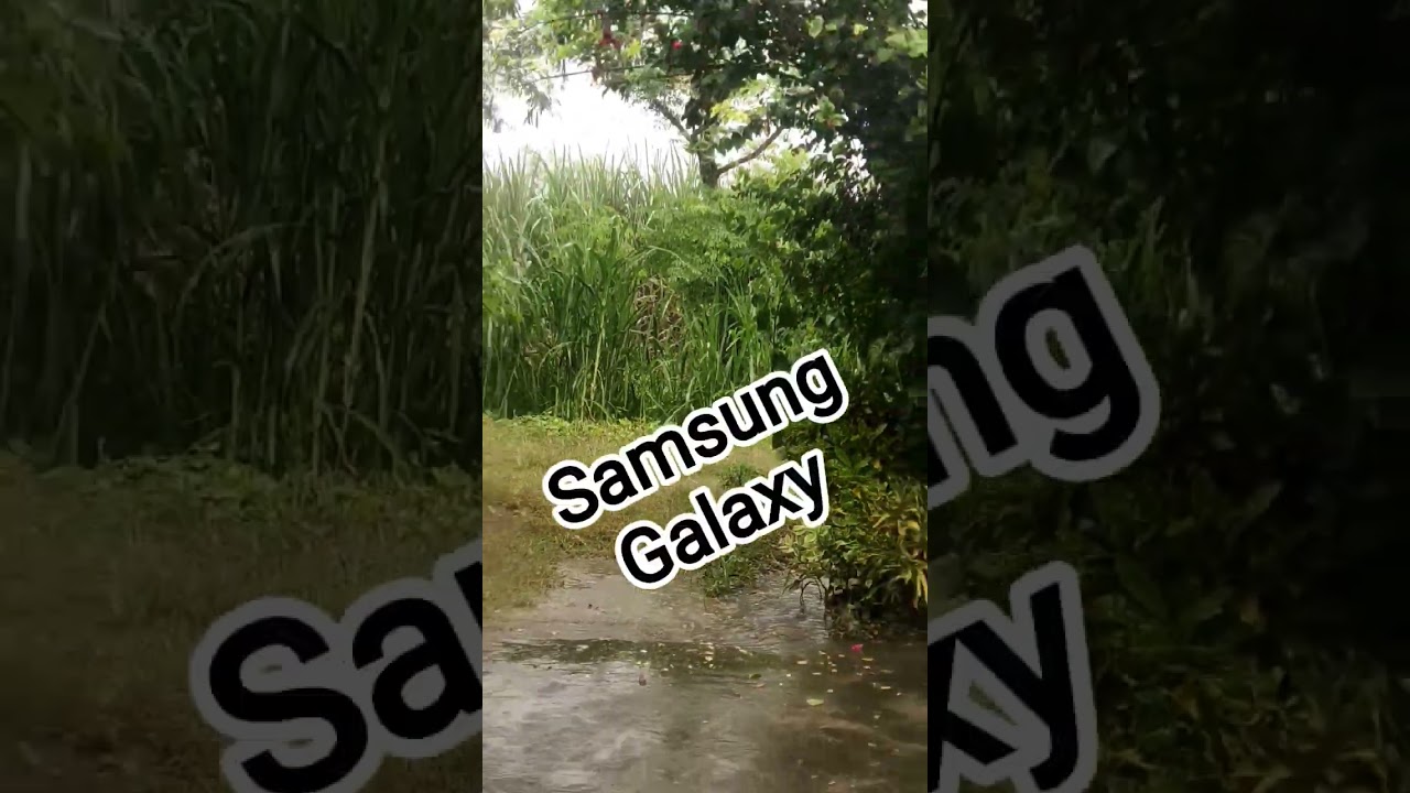 Samsung or vivo 😱😱🤫🤫🤫