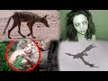 Proving These Creatures REAL/FAKE! (Dragon, Goblin, Demon & Chupacabra!)