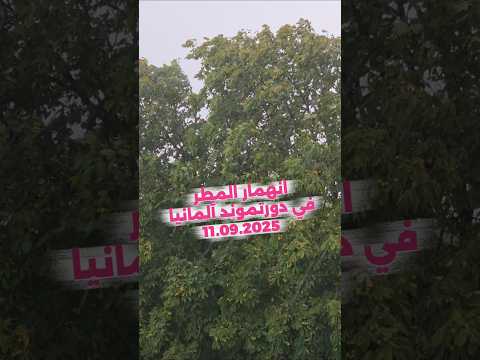 شاهدوا شدة هطول الأمطار في دورتموند ألمانيا مع رياح قوية إنه الخريف الجميل