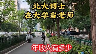 What Is the Annual Income of a Peking University Ph.D. Working as a University Professor?