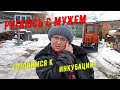 Ругаюсь с мужем.Готовимся к инкубации. #Вашехозяйство#Крепковит#кормовыедобавкидляптиц