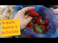 Ливни в Анталии/рынок в январе/сладкая клубника