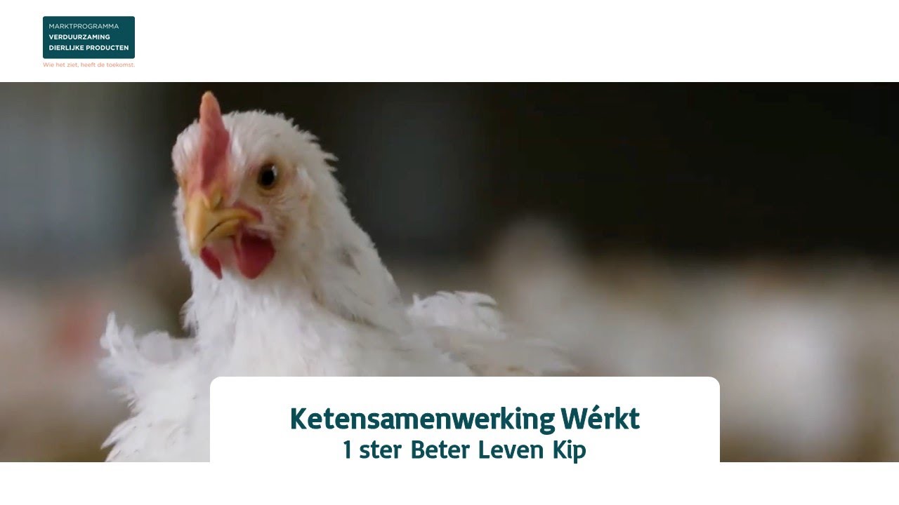 Beter Leven 1 Ster Kip