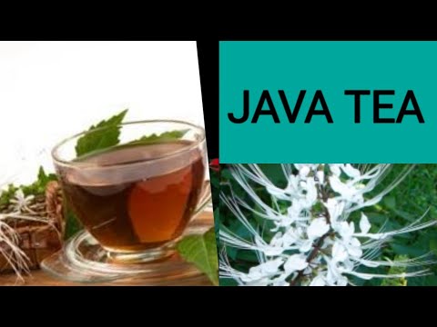 ഔഷധ ചായ ll JAVA TEA ll പൂച്ചതുളസി