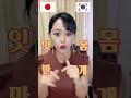 일본인에게 이걸 말하면 큰일 나요 #shorts #일본인 #외국인 #해외반응 #구독환영