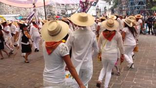 Baile tradicional de chalma