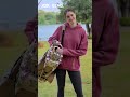 Wait… Your Golf Bag Doesn’t Do This 🤯⛳ #golfgear