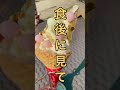 【再出発】体重より脂肪を落としたい人は見てください　#Shorts