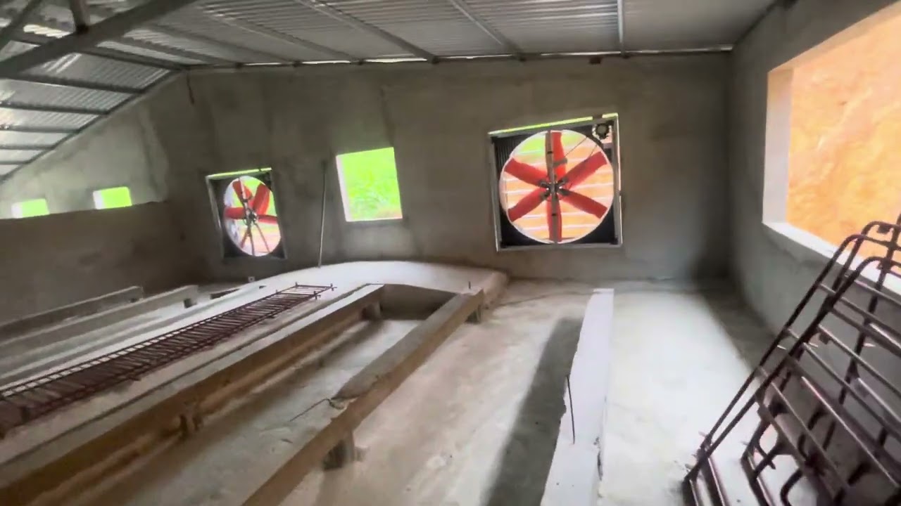 Tổng chi phí cho trang trại 30 heo nái! Cách làm trại heo nái